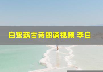 白鹭鹚古诗朗诵视频 李白